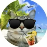 Чиловый Кот