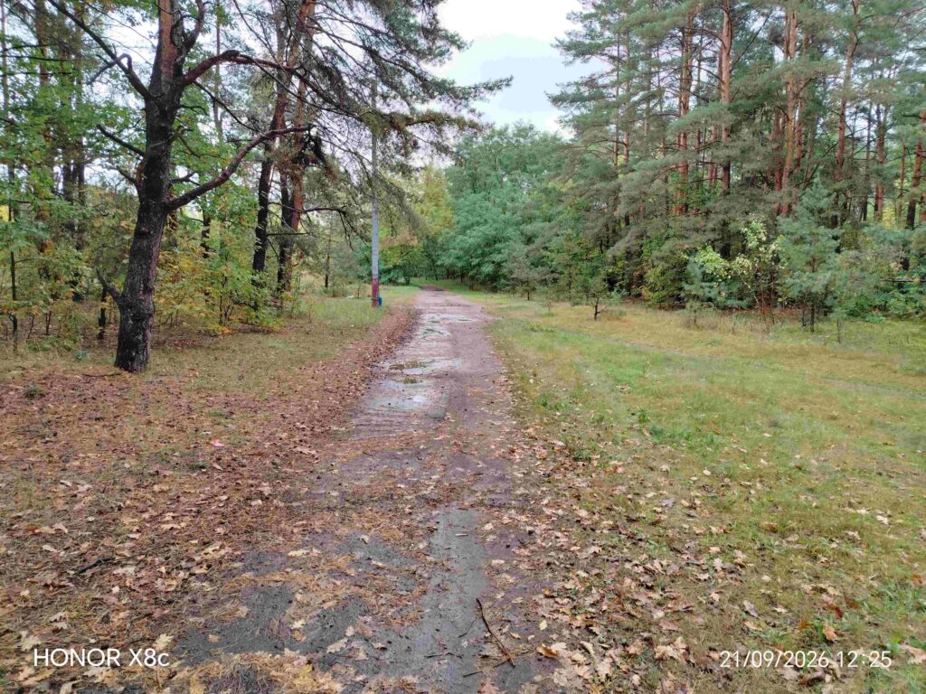 Тропинка к проходной Белшина